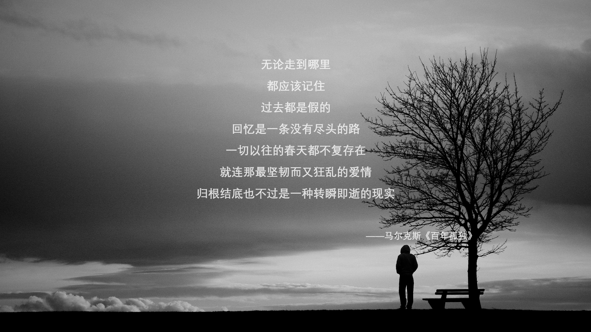 CS2 新秀选手表现抢眼，cs2女角色