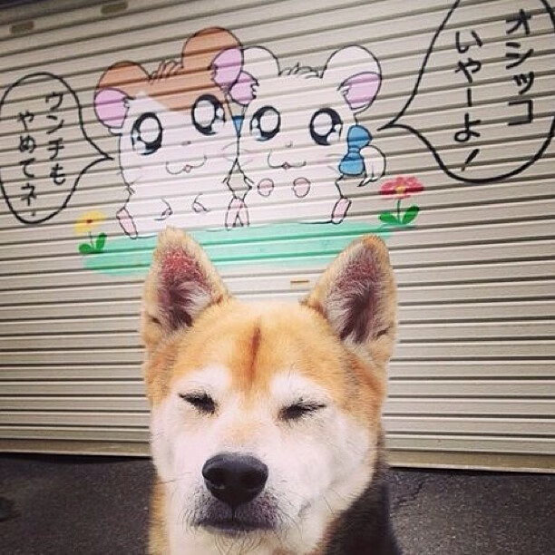 _罚球致胜！关键时刻罚篮定乾坤_，罚球是什么意思 篮球