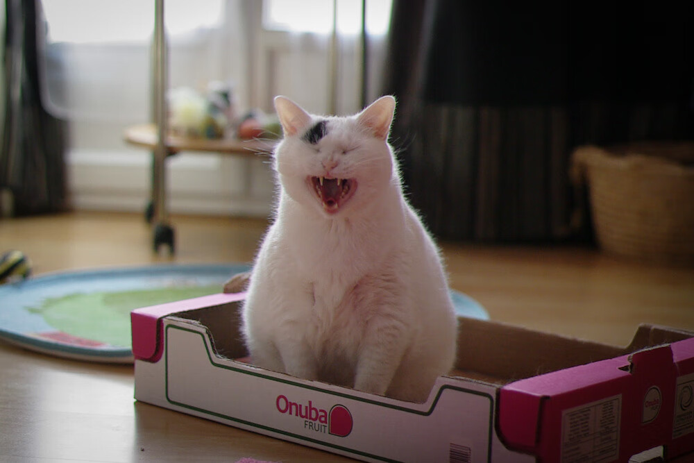 《2025年全球电竞市场规模突破30亿美元，未来增长可期》，2020年度全球电竞市场报告