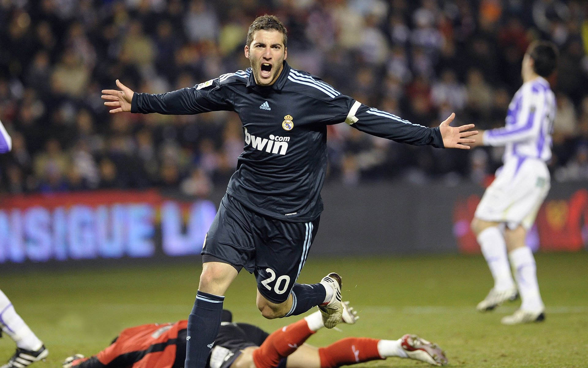 即将到来的世界橄榄球大赛，哪个队最具看点？，全球最盛大的橄榄球比赛